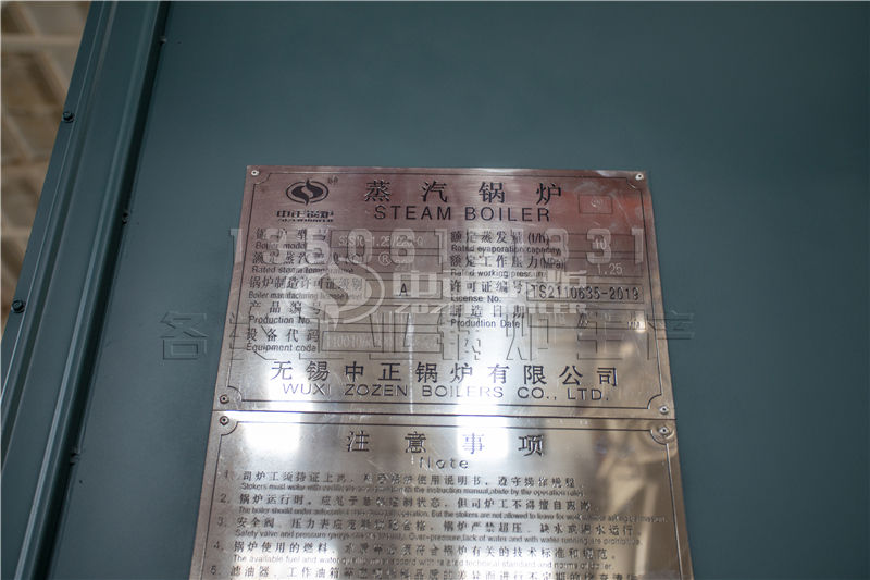 國內(nèi)燃?xì)庹羝仩t廠家